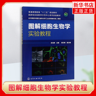 图解细胞生物学实验教程(余光辉)自然科学生命科学生物学专业类书籍 化学工业出版社 正版书籍 凤凰新华书店旗舰店