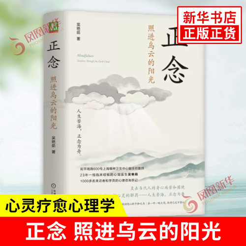 正念 照进乌云的阳光 吴艳茹著 人生苦海正念为舟 冥想练习正念的核心和精华正念的理念运用自我觉察 机械工业出版社 新华书店正版