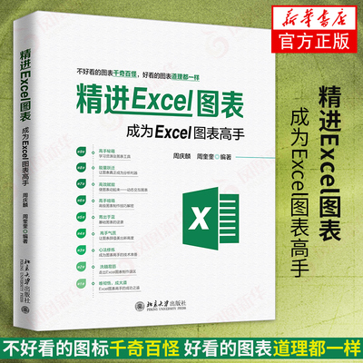 精进Excel图表 成为excel图表高手 Excel表格制作 office办公自动化软件教程书籍 office教程书籍 excel书籍 新华书店旗舰店官网