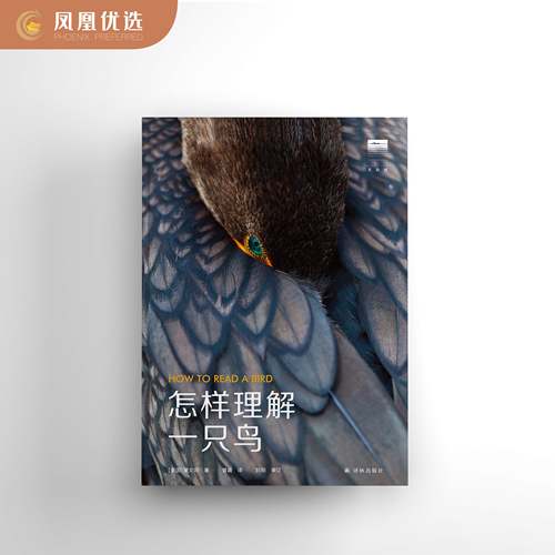 天际线凤凰新华书店旗舰店