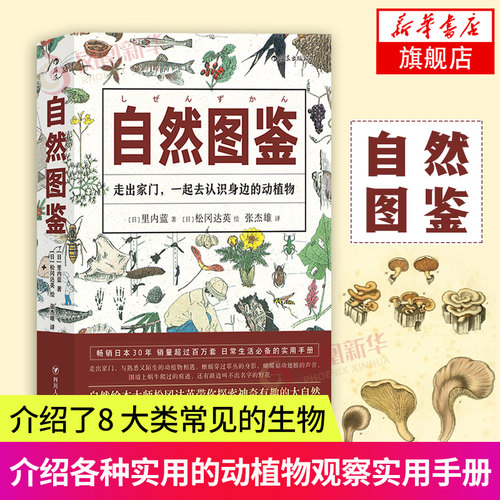 【凤凰新华书店旗舰店】自然图鉴 绘本大师松冈达英绘 600种动植物的观察方法 自然观察入门手册动植物科普百科生活图鉴系列书籍