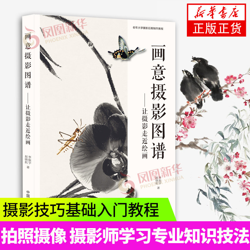 画意摄影图谱让摄影走进绘画 摄影技巧基础入门教程图书 照相拍照摄像技法 摄影师学习专业知识书籍 凤凰新华书店旗舰店正版书籍