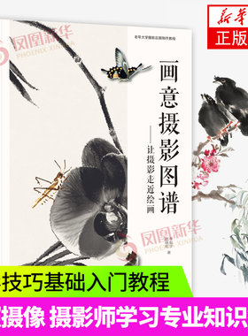 画意摄影图谱让摄影走进绘画 摄影技巧基础入门教程图书 照相拍照摄像技法 摄影师学习专业知识书籍 凤凰新华书店旗舰店正版书籍