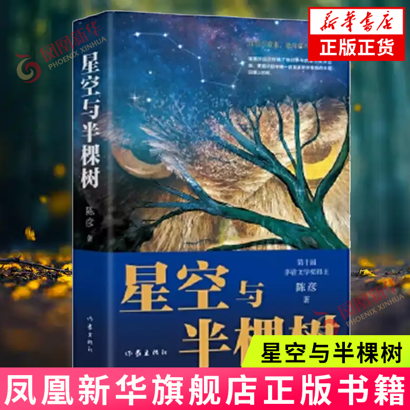 星空与半棵树（精装本）茅奖得主陈彦长篇小说