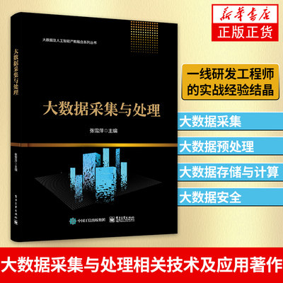 大数据采集与处理大数据采集大数据预处理离线数据分析 大数据存储与计算 大数据安全 大数据采集与处理技术书籍