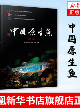 中国原生鱼 第一辑 中国特色原生鱼种类介绍书籍 观赏鱼原生观赏鱼图鉴书淡水鱼类溪流冷水鱼观赏鱼 鱼类科普书海洋生物知识书籍