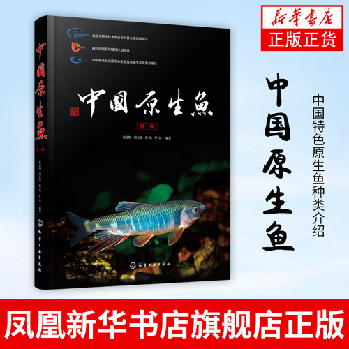 中国原生鱼 第一辑 中国特色原生鱼种类介绍书籍 观赏鱼原生观赏鱼图鉴书淡水鱼类溪流冷水鱼观赏鱼 鱼类科普书海洋生物知识书籍