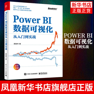 Power BI数据可视化从入门到实战 数据分析及仪表板设计整体流程进阶书籍 Power BI核心计算原理 袁佳林 电子工业出版社