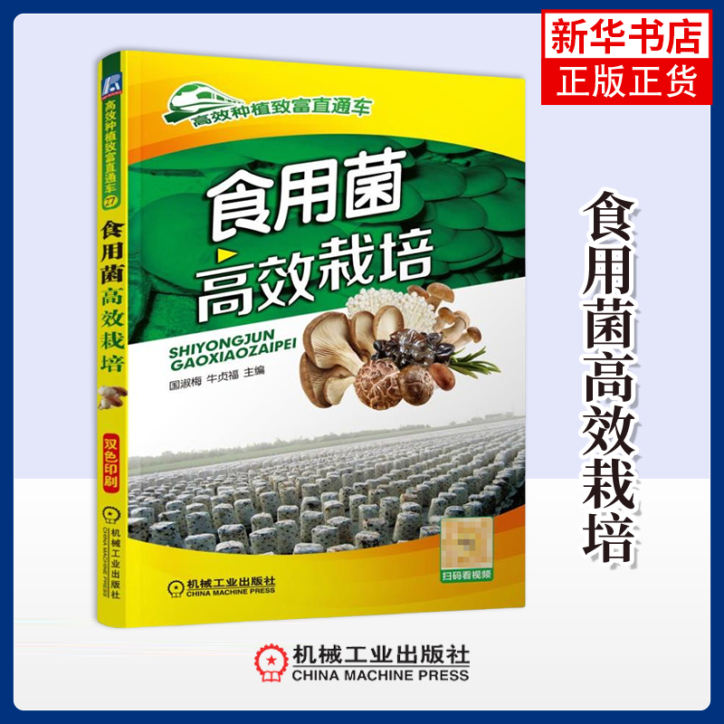 食用菌高效栽培 平菇香菇金针菇蘑菇草菇滑菇鸡腿菇杏鲍菇种植 菌类农业种植技术大全书籍 菌种菇种食用菌书病害防治书 蘑菇种植书