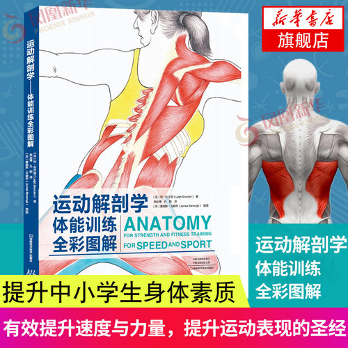 运动解剖学体能训练全彩图解 体育运动书籍 体育运动热身书籍 运动健身书籍 凤凰新华书店旗舰店正版 - 封面