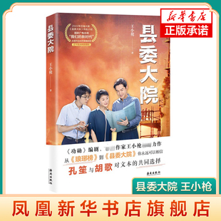县委大院 王小枪 以平视的视角展现了基层县治中的鲜活故事 同名电视剧原著小说 现代文学 海南出版社 凤凰新华书店旗舰店正版书籍