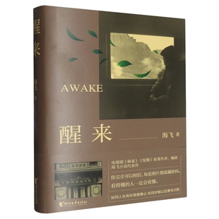 醒来海飞现代小说1919-1949年浙江文艺出版社凤凰新华书店旗舰店