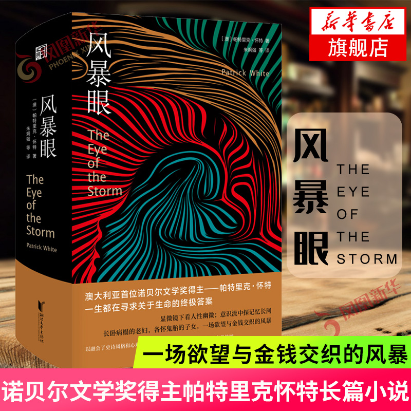 风暴眼社会小说外国文学