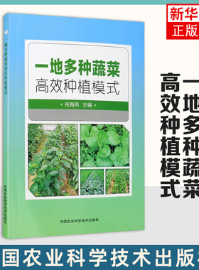 一地多种蔬菜高效种植模式 祝海燕主编 从蔬菜生产的实际出发 结合蔬菜品种特性 科学地安排茬口 合理的轮作 凤凰新华书店正版书籍