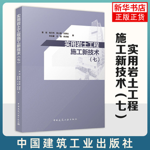 实用岩土工程施工新技术 中国建筑工业出版 雷斌 七 新华正版 岩土工程实践中应用 创新技术 社 岩土工程设计施工 建筑工程 书籍