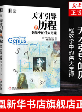 天才引导的历程数学中的伟大定理