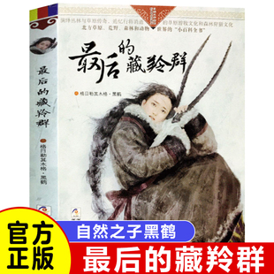 正版 最后的藏羚群/自然之子黑鹤精品书系珍藏版 草原荒野森林动物小说百科全书籍 6-7-10-12-14岁少儿童文学阅读物故事