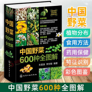 便携小开本 中国野菜600种全图解 野生植物分布食用方法药用保健特征识别科普读物彩色图鉴 药食同源健康饮食营养食疗养生一本通书