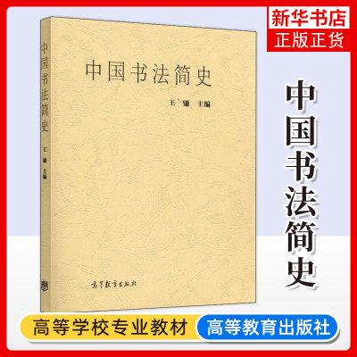 中国书法简史 王镛 中国书法史 美术简史 中国汉字书法美术史 美术书法专业本专科 高师高专教材 高等教育出版社