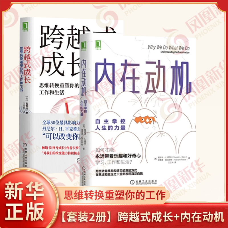 【套装2册】跨越式成长+内在动机 共2册 思维转换重塑你的工作自主掌控人生的力量 励志心理学书籍 【凤凰新华书店旗舰店】