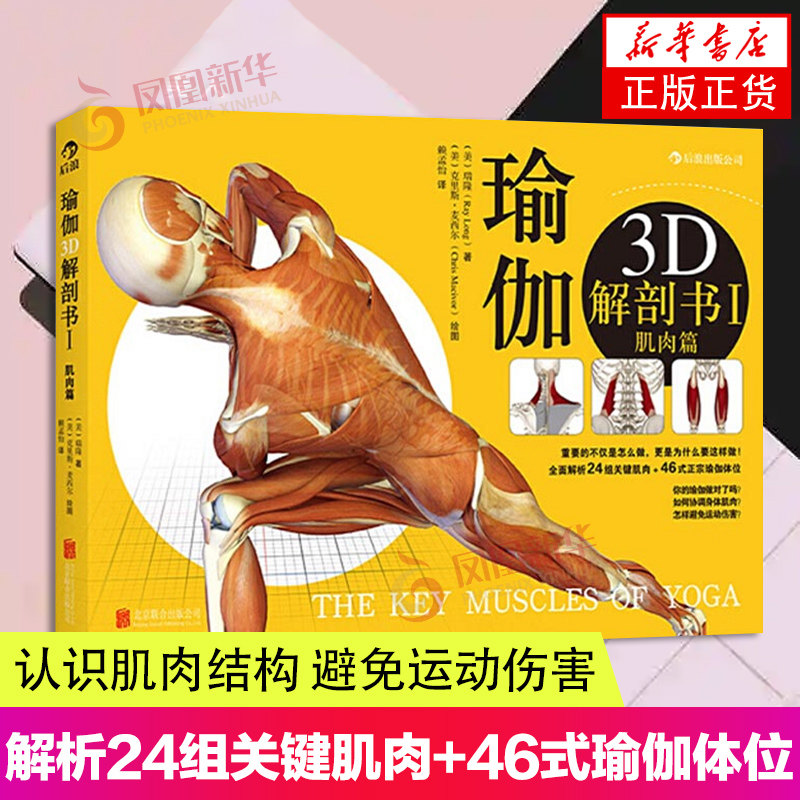 瑜伽3D解剖书1 肌肉篇 艾扬格弟子瑞隆作品初级入门指南初学者运动健身教程 解析24组关键肌肉46式正宗瑜伽体位瑜伽健身球