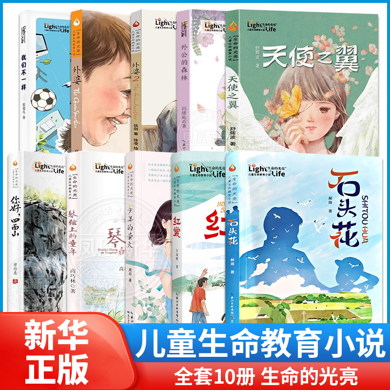 红裳外婆生命的光亮伍剑等写给儿童的生命教育小说三四五六年级中小学生课外名著阅读6-8-12岁少儿故事书籍一群孩子眼中的乡村巨变