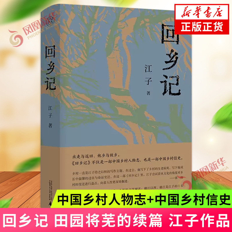 回乡记江子著田园将芜的续篇鲁迅文学奖作品现代农民生活故事田野式考察农民进城经典乡土的历史小说中国近代随笔新华书店正版