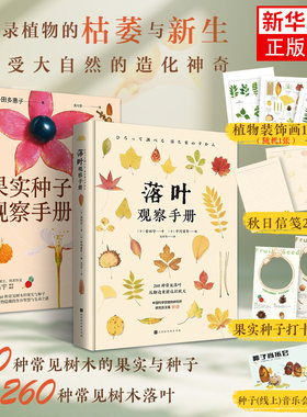 世界上不可思议的果实种子图鉴 果实种子落叶观察手册 植物迷的入门工具书 欣赏图鉴 科普类 观叶指南搭植物挂图种子果实观察手册