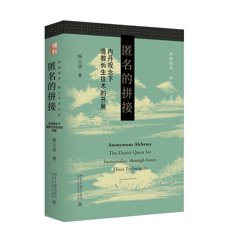 匿名的拼接杨立华 著文学理论/文学评论与研究北京大学出版社凤凰新华书店旗舰店图片