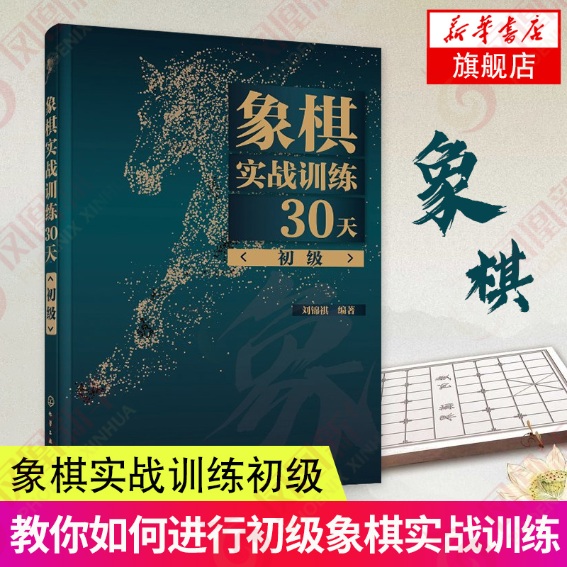 象棋实战训练30天 初级 象棋实用技法每日一练 象棋入门与提高教材书 象棋棋谱 象棋开局布局残局书中国象棋教程象棋专项强化训练