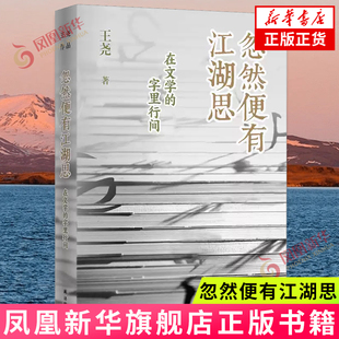 忽然便有江湖思 在文学的字里行间 王尧 译林出版社 文学作品集 文学批评 新华正版书籍