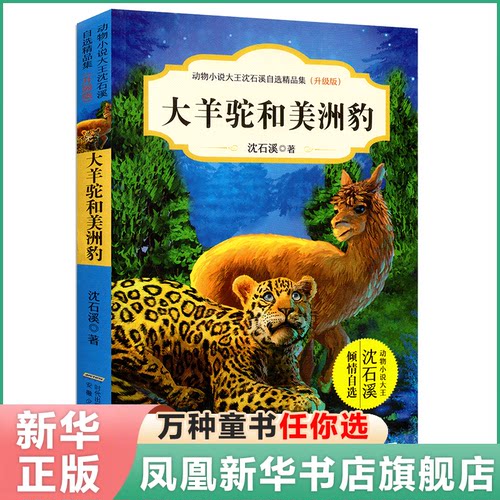 大羊驼和美洲豹 升级版 动物小说大王沈石溪自选精品集 沈石溪动物小说书籍9-12岁儿童动物故事书小学生课外书三四五六年级童书