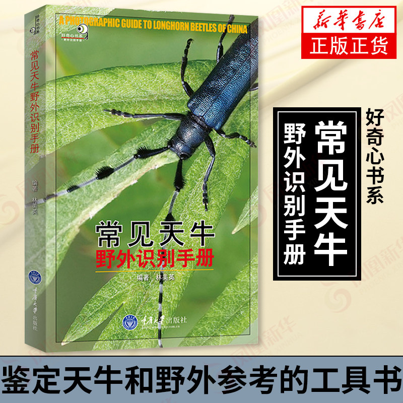 常见天牛野外识别手册 天牛爱好者初级读物 天牛生态图鉴 天牛鉴别