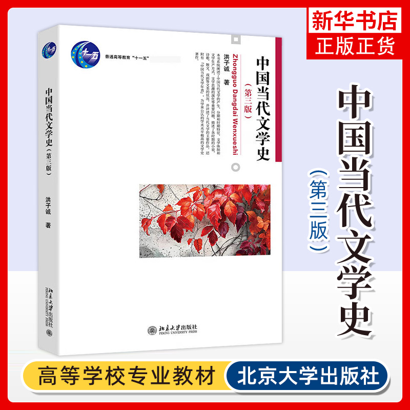 【官方正版】中国当代文学史 第3版 洪子诚 北京大学出版社大学本科汉语言文学专业考研教材教程 当代文学教材博雅 9787301348437