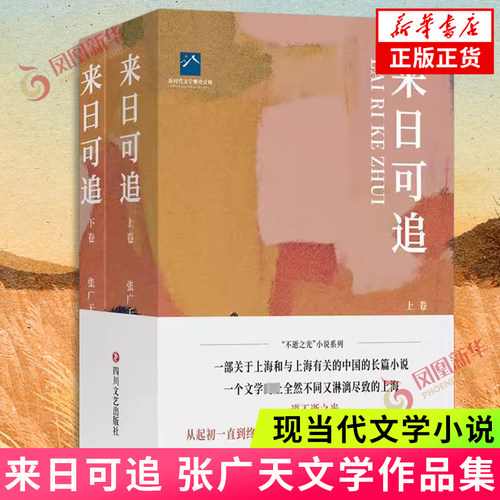 来日可追 张广天 著 四川文艺出版社 中国现当代文学 其它小说 凤凰新华书店旗舰店