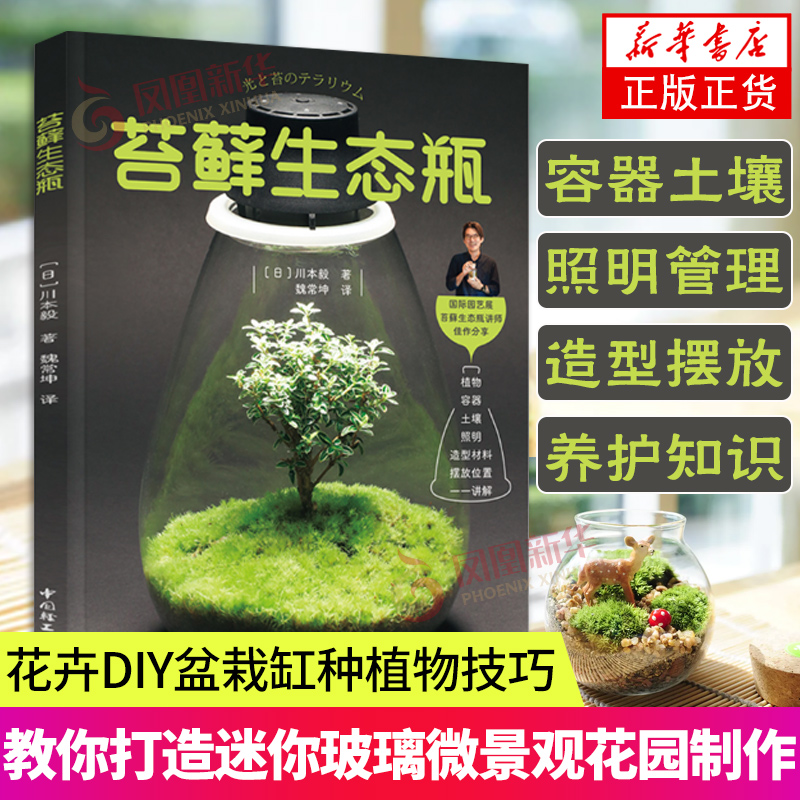 苔藓生态瓶 教你打造迷你玻璃微景观花园制作花卉DIY盆栽缸种植物技巧教程与养护图鉴多肉花艺园艺创意设计图谱多肉辨别书