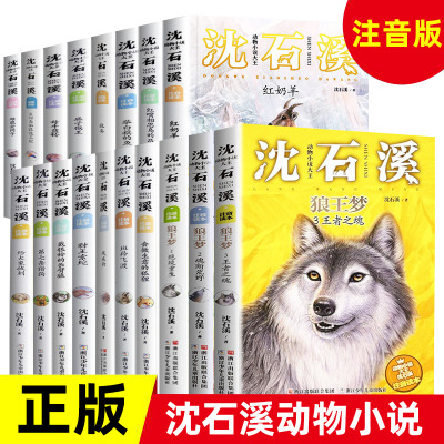沈石溪动物小说注音版读本全套