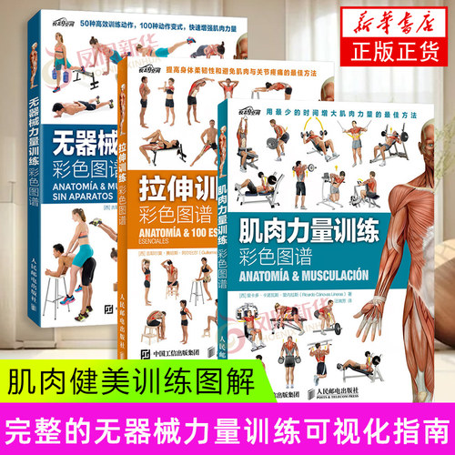 3册套 拉伸训练彩色图谱+肌肉力量训练彩色图谱+无器械力量训练彩色图谱 运动健身健美训练书健身书籍 人民邮电出版社凤凰新华书店