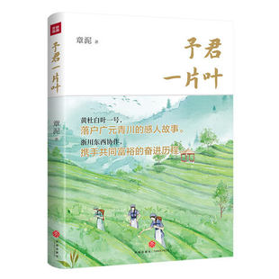 予君一片叶 章泥 叙写浙川两地东西协作共同富裕新篇章 天地出版社 正版书籍 凤凰新华书店旗舰店