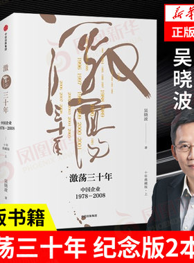 激荡三十年正版企业经济