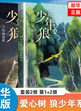 少年狼全2册 安波舜长篇寓言小说6-8-10-12岁儿童青少年成长励志文学故事小学生一二三四五六年级课外阅读书籍儿童文学小说正版
