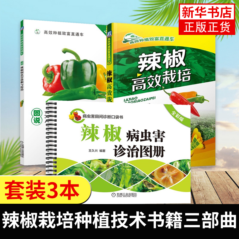 正版 辣椒栽培种植技术书籍三部曲辣椒病虫害诊治图册+辣椒高效栽培+诊断与防治 黄红辣椒甜椒施肥管理技术大全书大棚蔬菜种植书籍