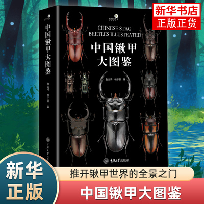 中国锹甲大图鉴 收录中国锹甲科昆虫34属369种甲虫彩色图鉴观赏类鞘翅目昆虫兜锹花臂任选甲虫百科 重庆大学出版社