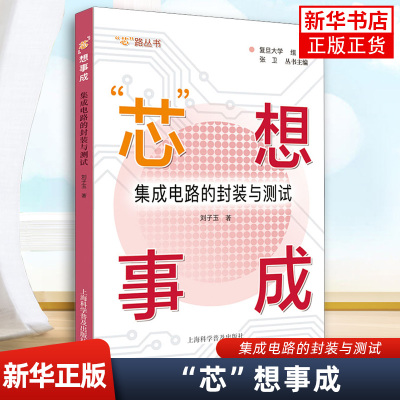 芯”想事成：集成电路的封装