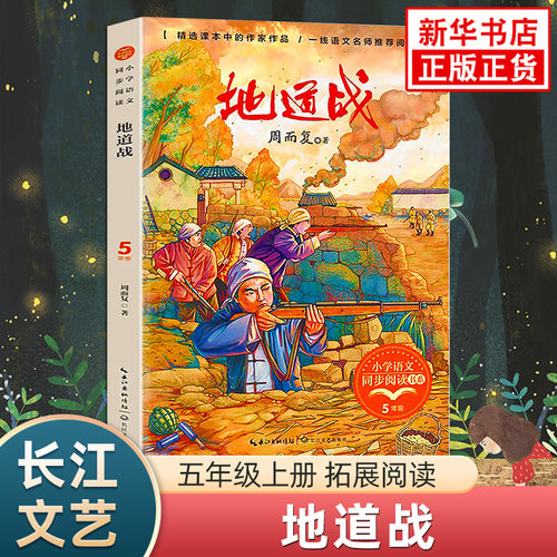 地道战圆明园的毁灭五年级阅读