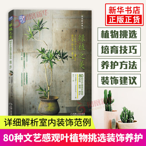 绿植之美80种文艺感观叶植物挑选装饰养护 庭院绿化设计家庭园艺 家庭盆栽园艺花卉观赏园艺 日本花植旅人植物种植书养花书籍