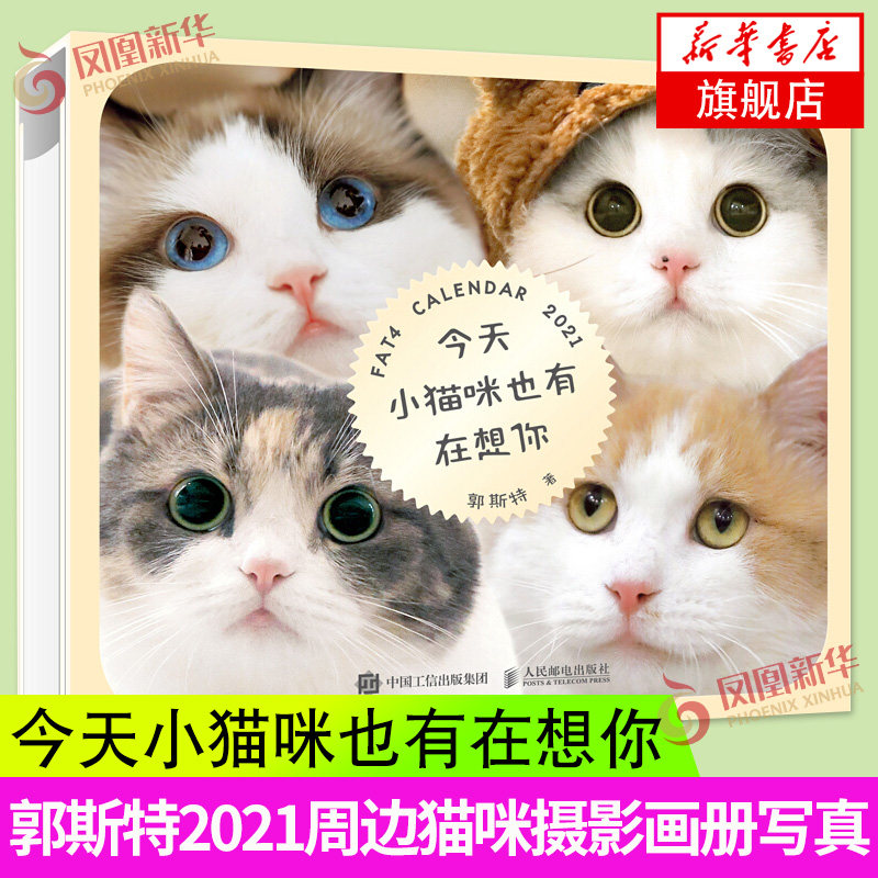 今天小猫咪也有在想你 郭斯特2021周历猫咪摄影画册写真周历郭斯特小