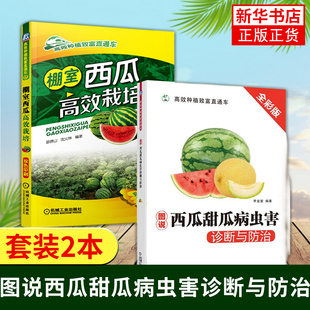 【西瓜种植技术2册】棚室西瓜栽培+图说西瓜甜瓜病虫害诊断与防治 大棚西瓜种植关键技术 西瓜种籽大瓜无子西瓜种籽育苗技术书