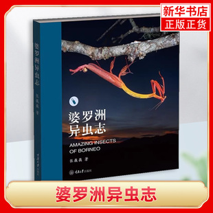 婆罗洲异虫志 张巍巍 重庆大学出版社 婆罗洲昆虫照片 图鉴类昆虫书籍 博物学动物学昆虫学自然知识科普读物 昆虫自然摄影集