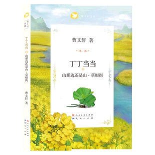 天天出版 儿童文学 社 童书少儿书籍少年儿童读物学生阅读 书籍 丁丁当当之山那边还是山草根街 新华书店正版 曹文轩